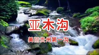 孩子去了幼儿园总和别的小朋友打架，要如何教育孩子？